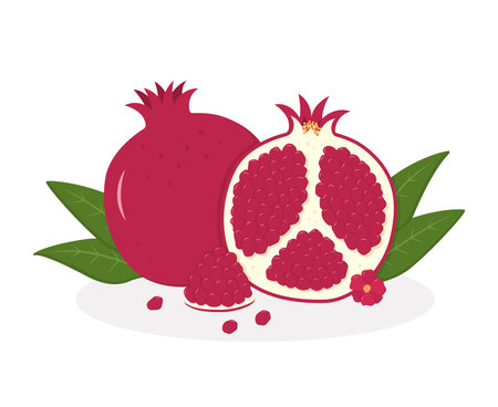 Ripe pomegranate whole, half, and seeds with green leaves. Colorful illustration for package and menu design. Vector illustration in a flat style.のイラスト素材