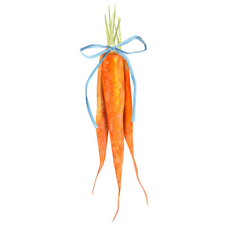 Watercolor composition collected in a bouquet of three carrots and tied with bows. Happy Easterの写真素材
