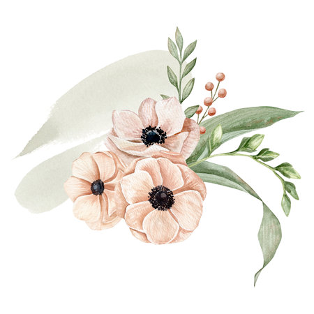 Watercolor composition with anemones on a peach pink color, different branches, berries on a green splashの写真素材