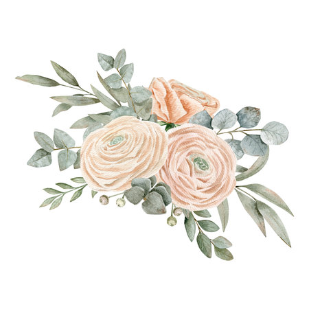 Watercolor hand drawn composition with different of peachy pink ranunculus and different eucalyptus branches of green color.の写真素材