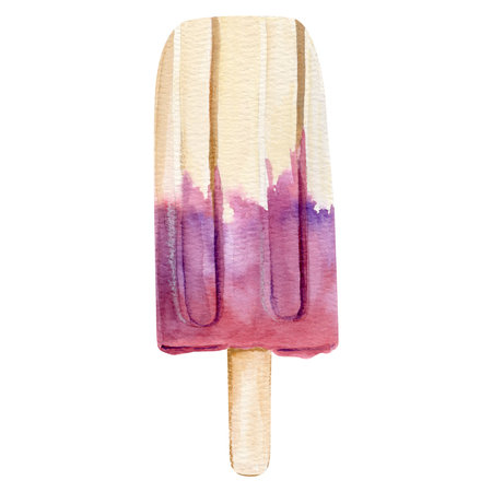 Watercolor hand drawn illustration blueberry vanilla popsicles.の写真素材