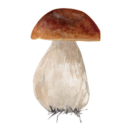 Watercolor hand drawn mushroom. The artwork captures the natural texture and earthy tones of the mushroom.の写真素材