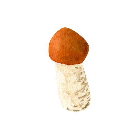 Watercolor hand drawn small mushroom. The artwork captures the natural texture and earthy tones of the mushroom.の写真素材