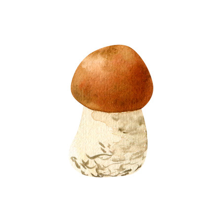 Watercolor hand drawn small mushroom. The artwork captures the natural texture and earthy tones of the mushroom.の写真素材