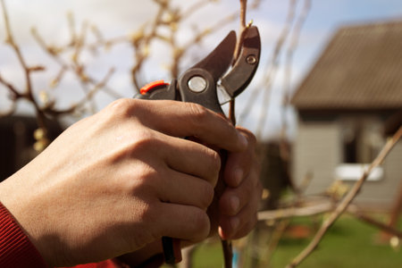 A young man prune fruit trees in his garden. Garden care, preparation for the spring-summer season,...