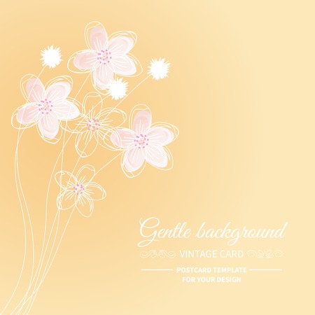 gentle floral illustration cream white background in vintage styleのイラスト素材
