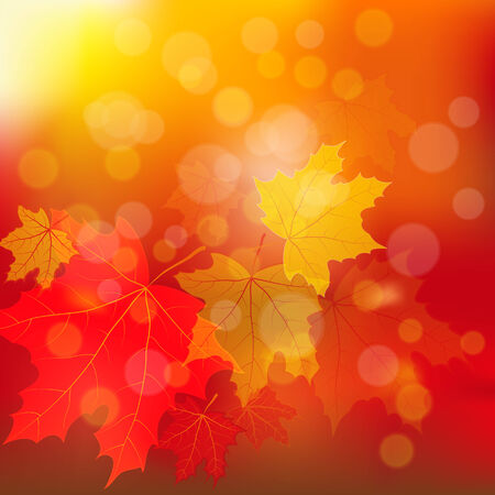 Autumn background with maple leaves and sunlightのイラスト素材