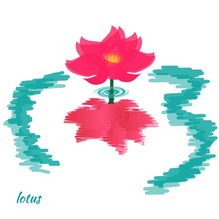 Lotus flower and  its reflection in water on white backgroundのイラスト素材
