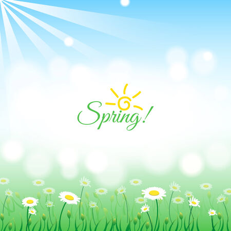 Nature background with green grass, daisies and a blue sky.Abstract with bokeh defocused lightsのイラスト素材