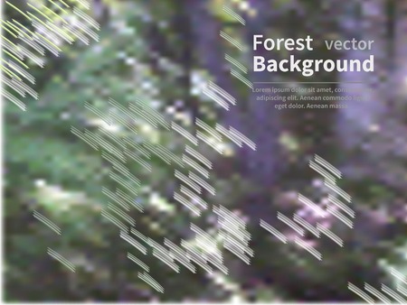 Vector background blur forest with glowing particles -template for eco website or leaflet.のイラスト素材