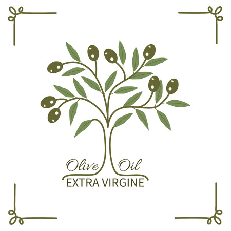 The olive tree and olive oil typography.Logo label badge.のイラスト素材