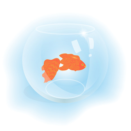 Goldfish swim in aquarium glass on gray backgroundのイラスト素材