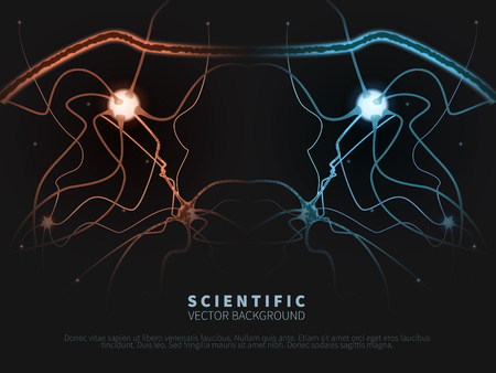 model of neural systemのイラスト素材