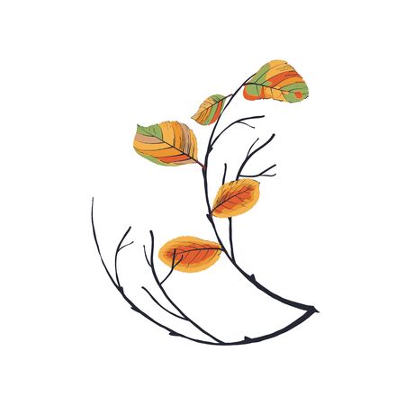 Composition of autumn leaves and twigsのイラスト素材