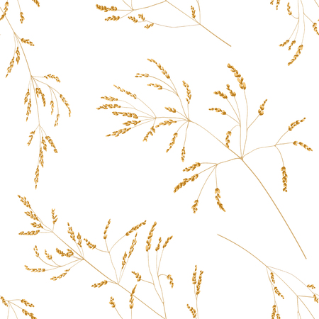 Seamless pattern of cereal plants. Spikelets with grain on a white background.のイラスト素材