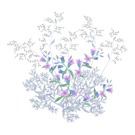Bouquet of field and meadow grass, plants and flowers on white.The big bell and blossoming wormwood,composition on white background.のイラスト素材