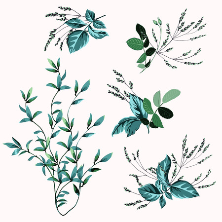 Set of floral bouquets, collection flower composition, greenery on white background. Vector illustrationのイラスト素材