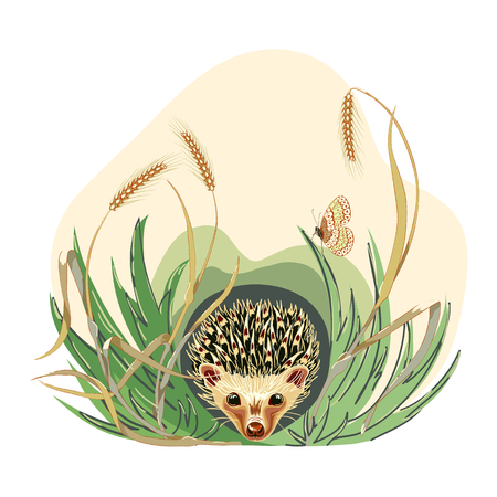 Cute hedgehog and butterflyin the grass, cartoon hand drawn vector illustration. Can be used for baby t-shirt printing, greeting card.のイラスト素材