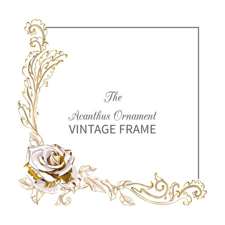 Antique frame in style baroque of acanthus leaves and gorgeous rose. Monogram floral ornamentのイラスト素材
