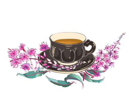 Willow-herb tea, ivan-tea Medicinal plant. Branch of fireweed flower on white background.のイラスト素材