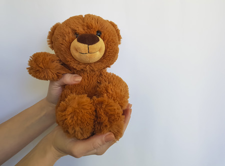 Hands holding a teddy bear toy isolated on a white backgroundの写真素材