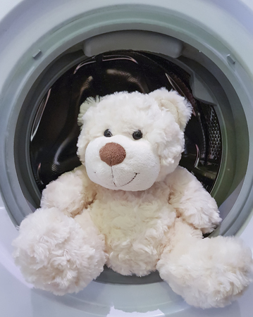 Teddy bear in the washing machineの写真素材