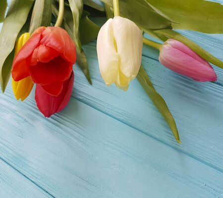 bouquet of tulips on a blue wooden backgroundの写真素材
