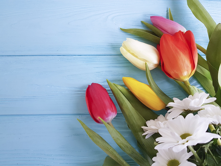 Beautiful bouquet of tulips on blue wooden with place for textの写真素材