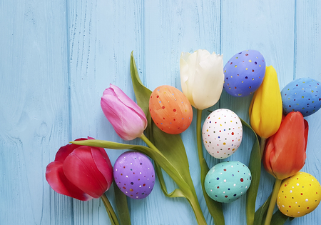 Tulips Easter eggs on blue woodenの写真素材