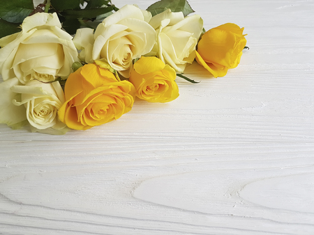 yellow roses on a white backgroundの写真素材