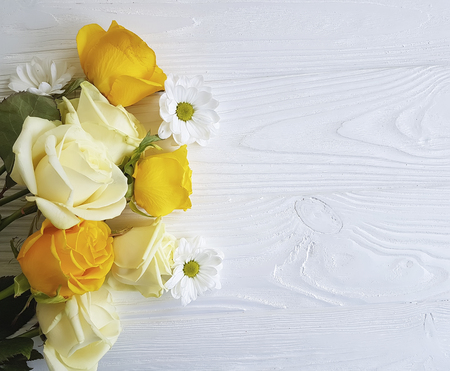 yellow roses on a white backgroundの写真素材