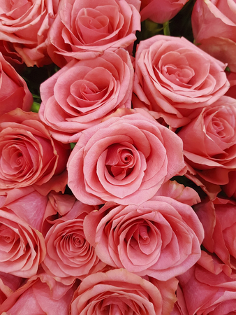 beautiful fresh flowers, bouquet, rose backgroundの写真素材
