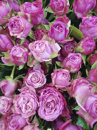 beautiful fresh flowers, bouquet, rose backgroundの写真素材