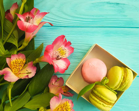 alstroemeria flower, macaron colored wooden background, breakfastの写真素材