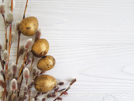 willow, quail eggs Easter on white woodenの写真素材