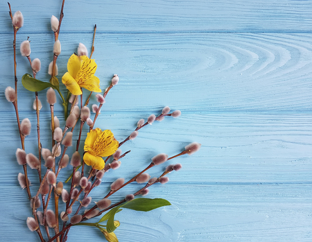 flower yellow alstroemeria, willow on a blue wooden background, Easter eggsの写真素材
