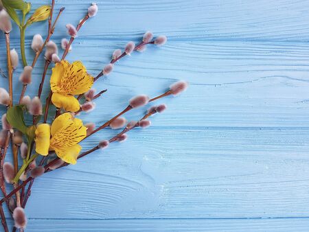 flower yellow alstroemeria, willow on a blue wooden background, Easter eggsの写真素材