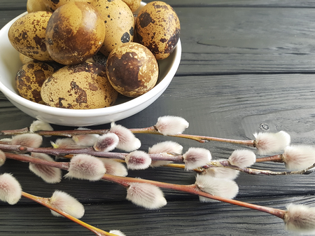 Easter quail eggs, willow on blackの写真素材