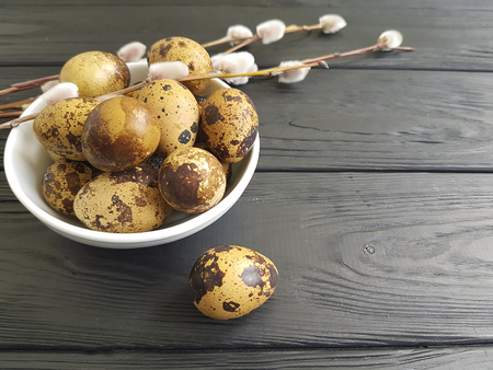 Easter quail eggs, willow on blackの写真素材