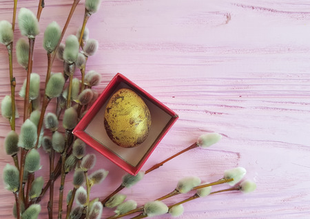 quail eggs easter branch of a willow on a pink wooden backgroundの写真素材