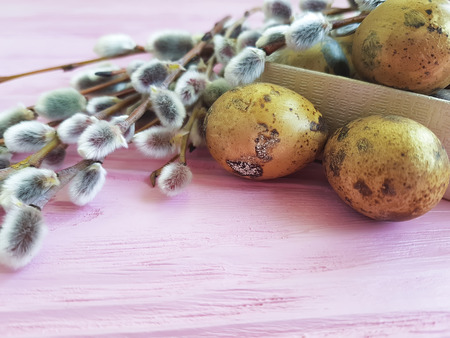quail eggs easter branch of a willow on a pink wooden backgroundの写真素材