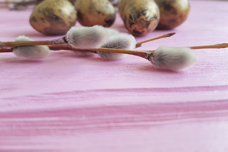 quail eggs easter branch of a willow on a pink wooden backgroundの写真素材