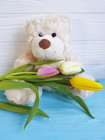 bear tulip symbolの写真素材