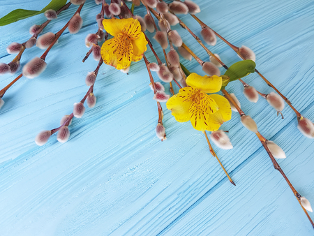 Easter quail eggs on white woodenの写真素材