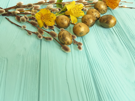 Easter quail eggs on white woodenの写真素材