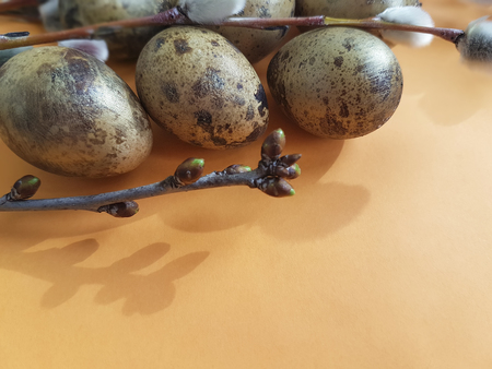 quail eggs easter branch of a willow on an orange backgroundの写真素材