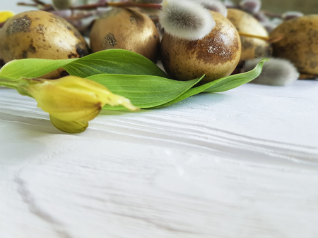quail eggs easter branch of a willow on a white wooden background, flower alstroemeriaの写真素材