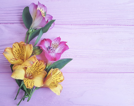 flowers alstroemeria wooden background pattern frameの写真素材