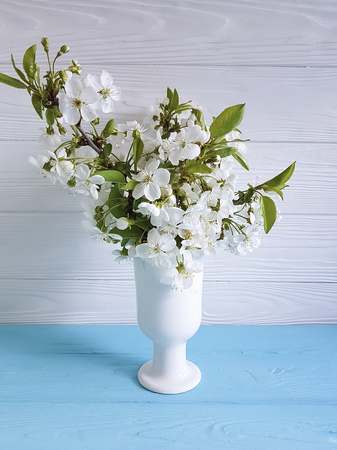cherry blossoming branch vase on a colorful wooden backgroundの写真素材