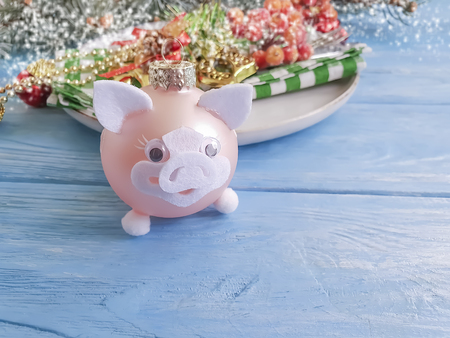 branch tree plate pigの写真素材